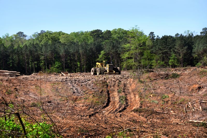 Bulldozer Clearing in Atlanta, GA