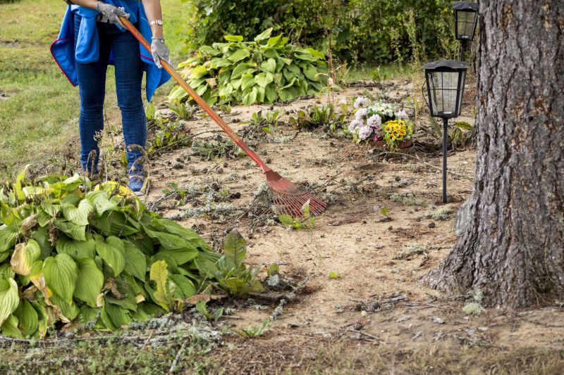 Ground Clearing in Katy, TX