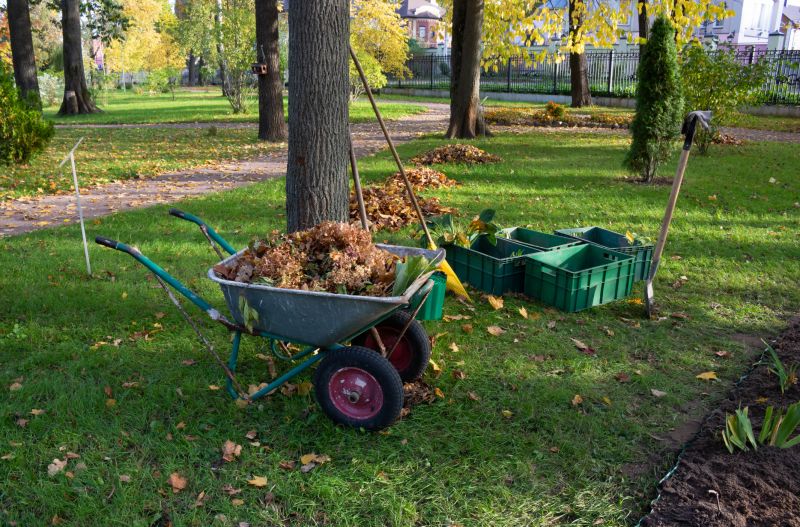 Land Preparation Service in Houston, TX