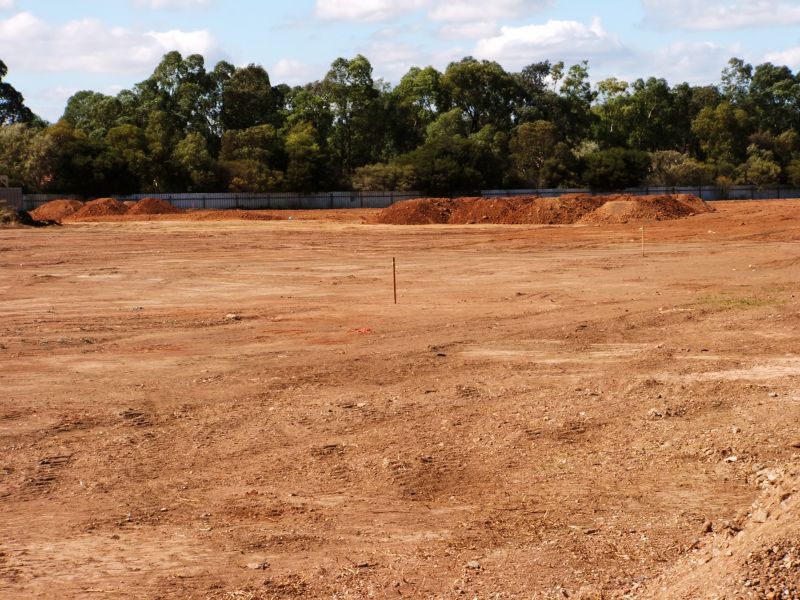 Pool Land Clearing in Katy, TX